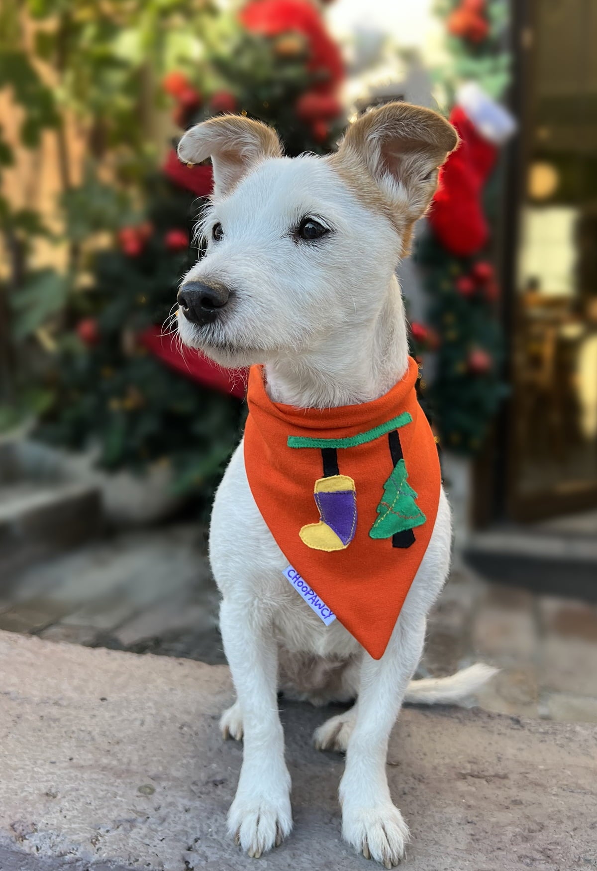 Holly Jolly vibes bandana