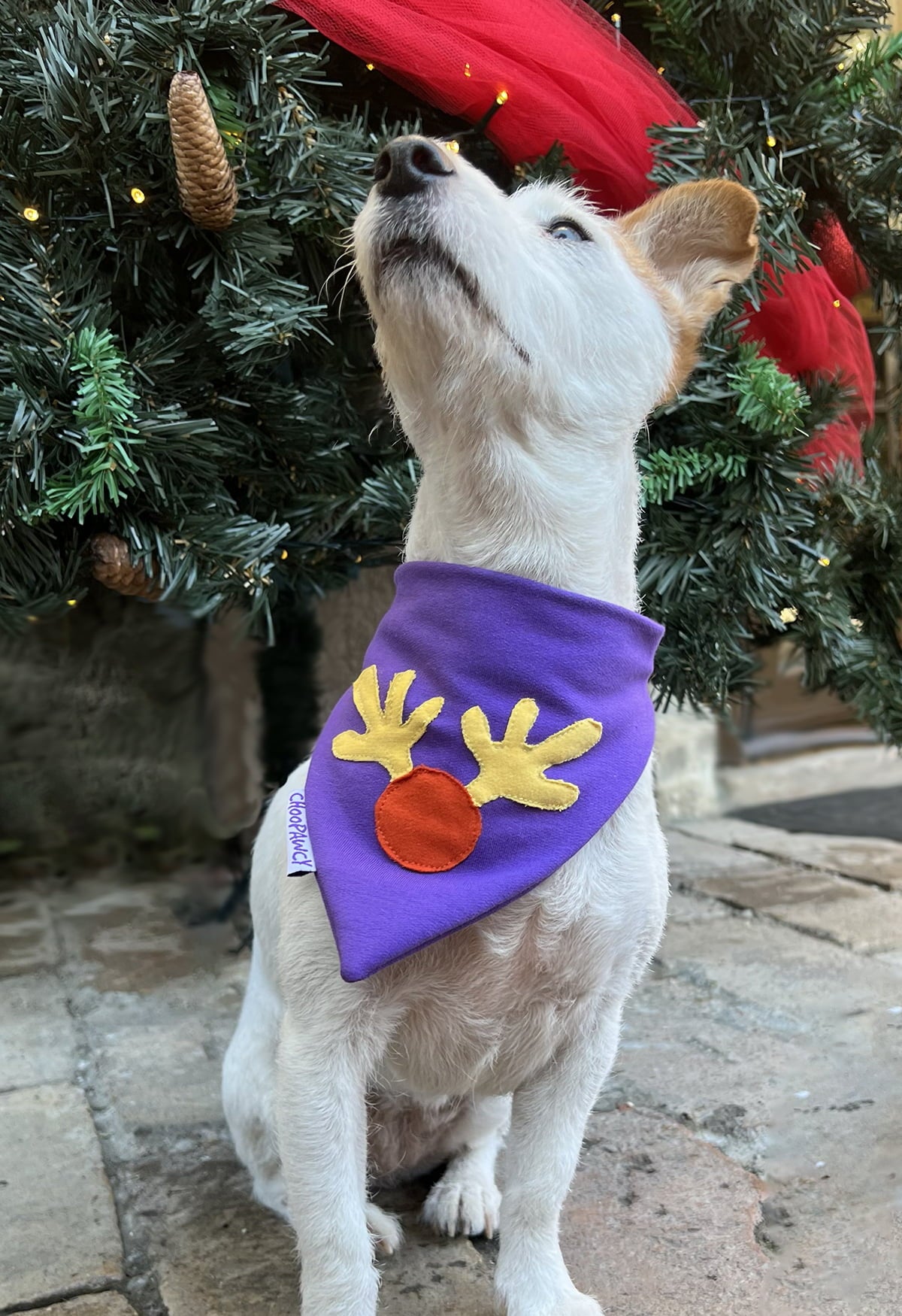 Oh, deer! bandana