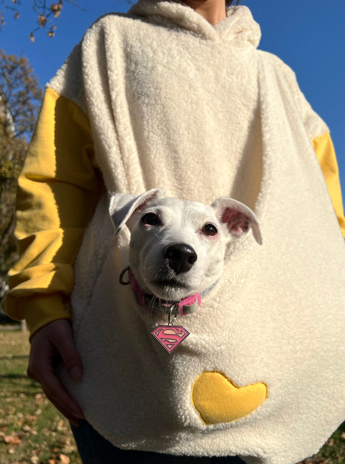 Kangaroo hoodie