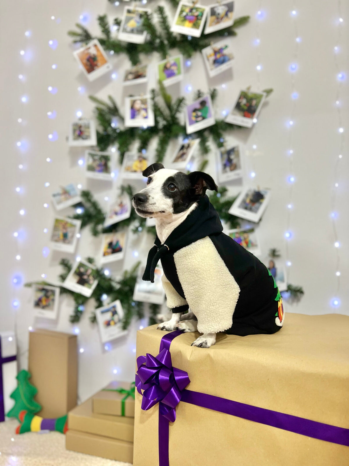 Jingle Tails doggo hoodie