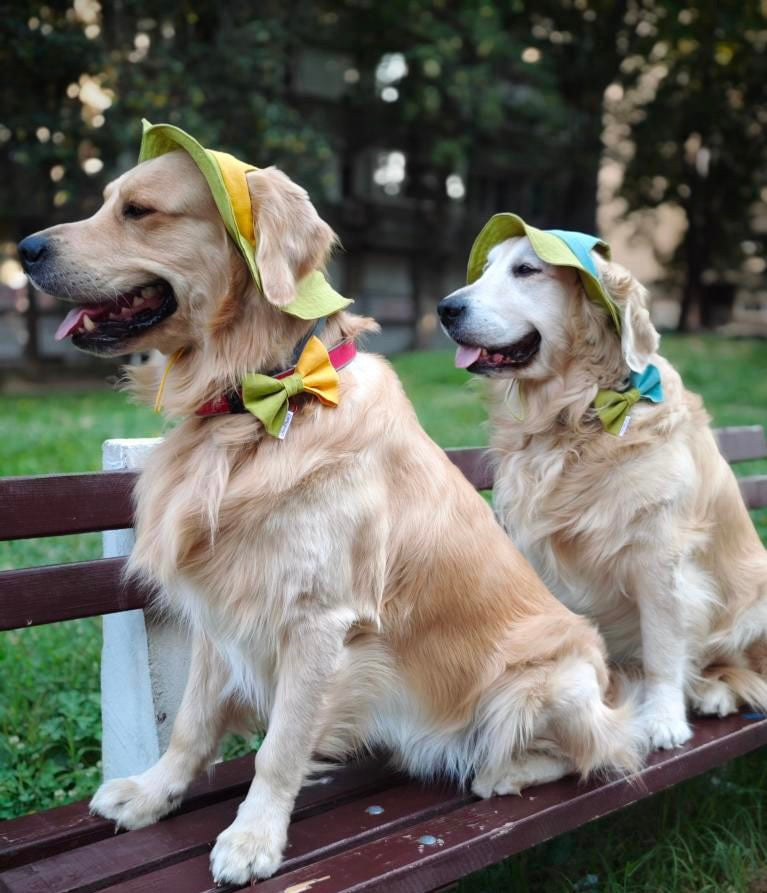 Summer bow tie