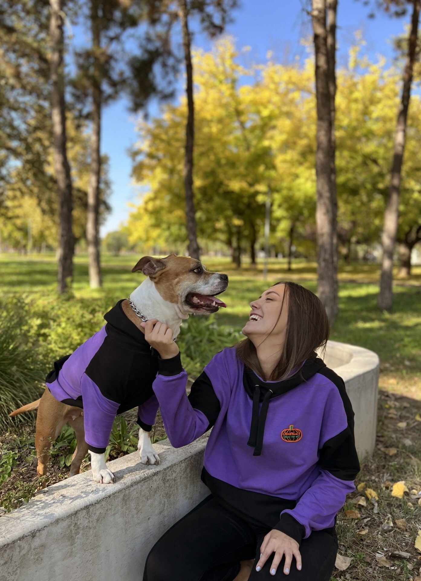 Purple candy doggo