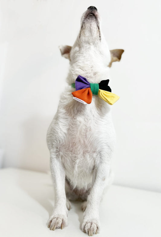 Doggo bow tie