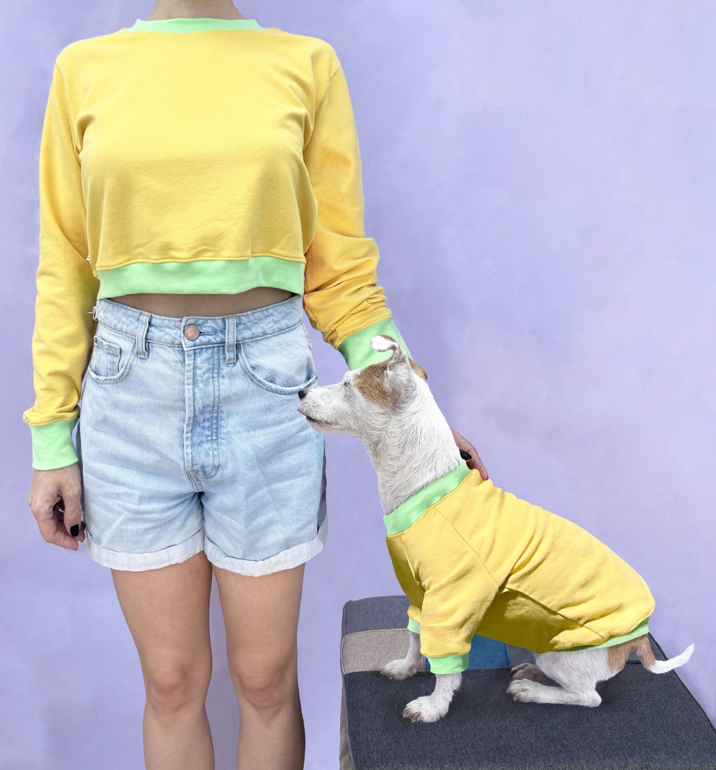 Vannila Pudding doggo