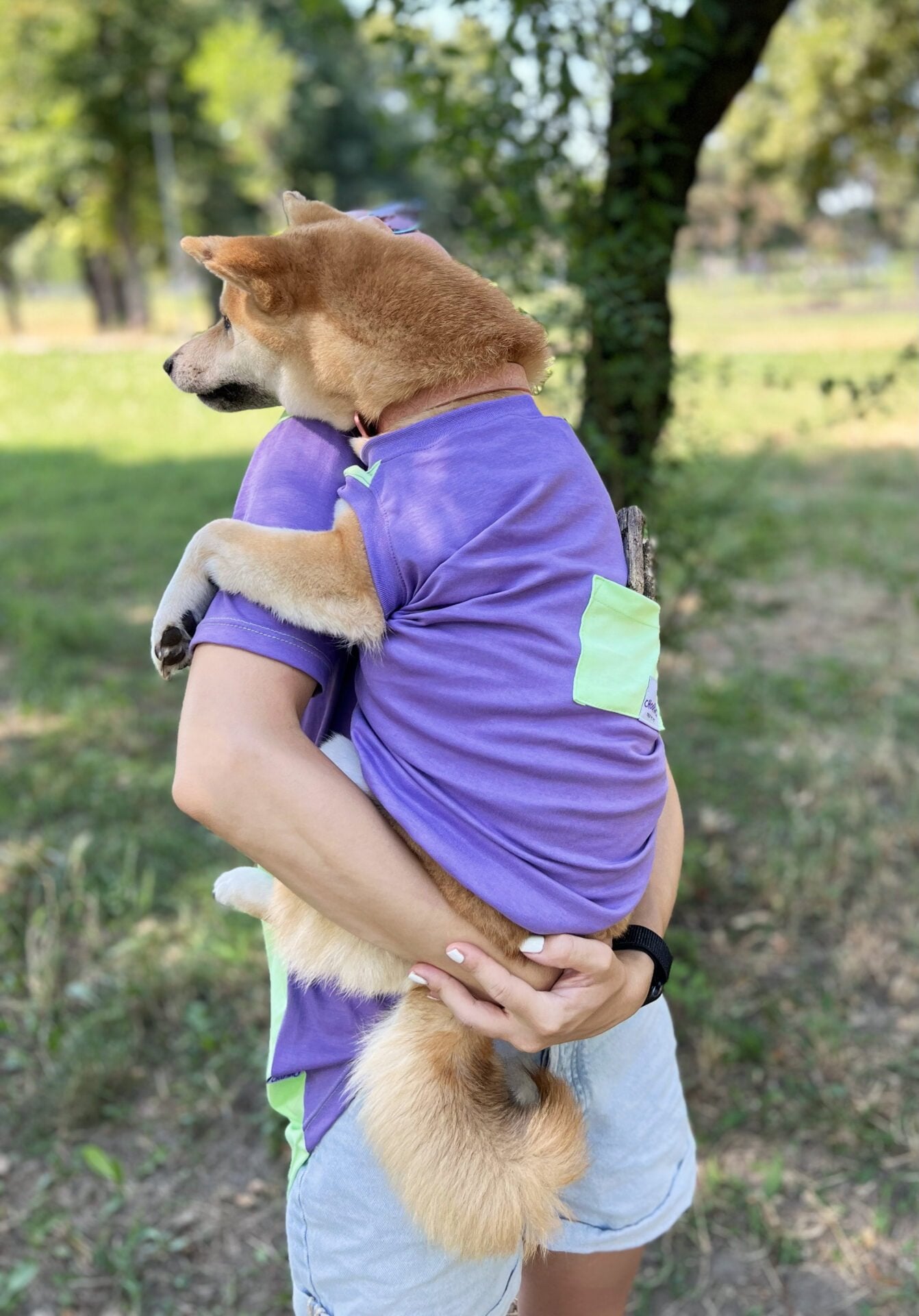 Berry trifle doggo sa džepom