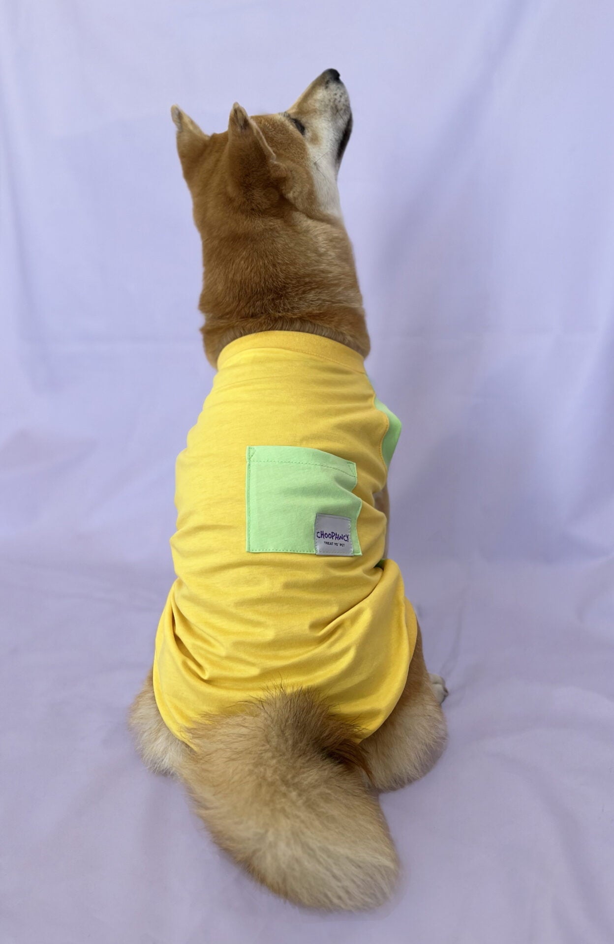 Tiramisu melon doggo sa džepom