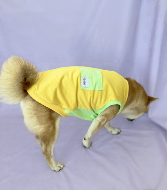 Tiramisu melon doggo sa džepom