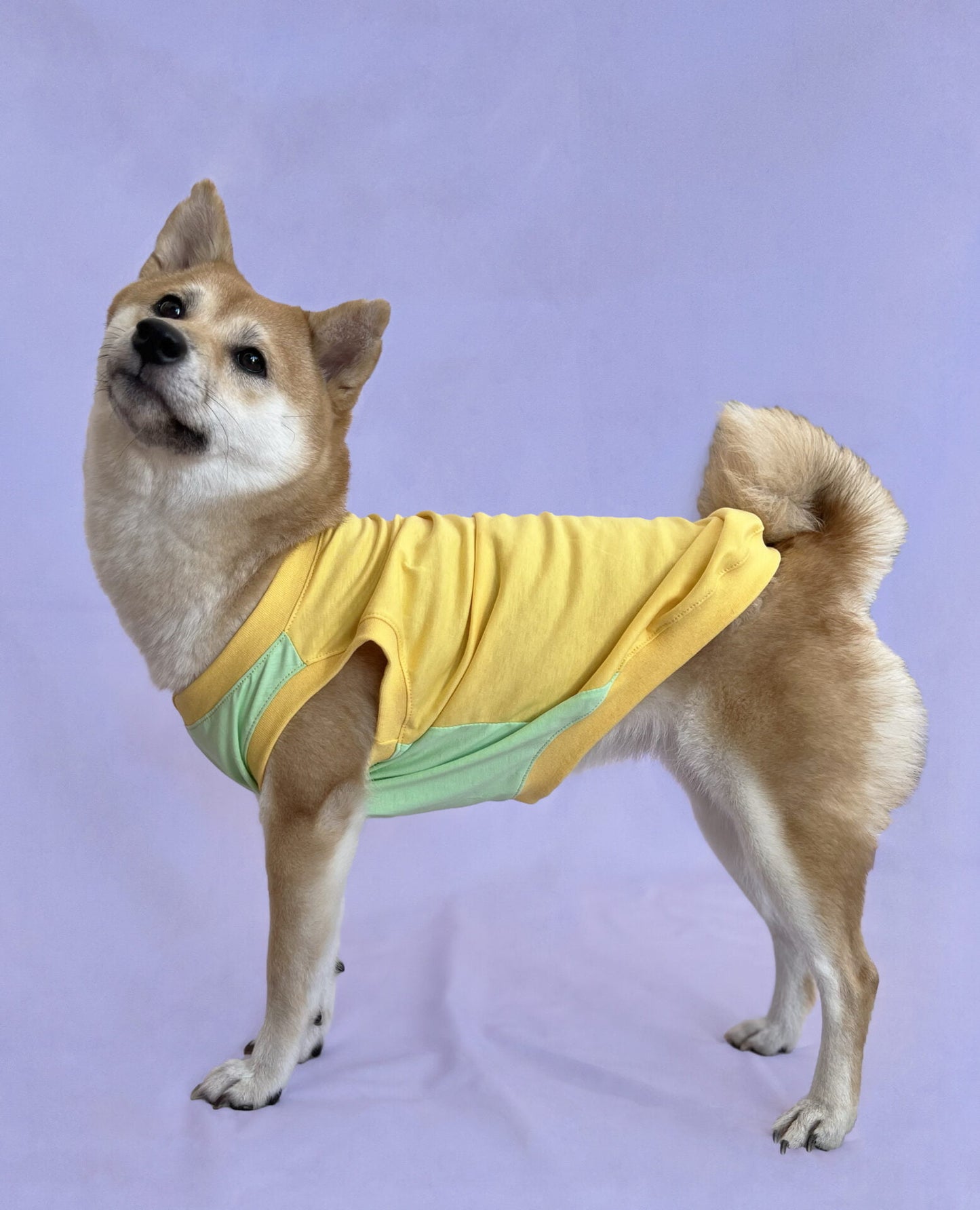 Tiramisu melon doggo sa džepom