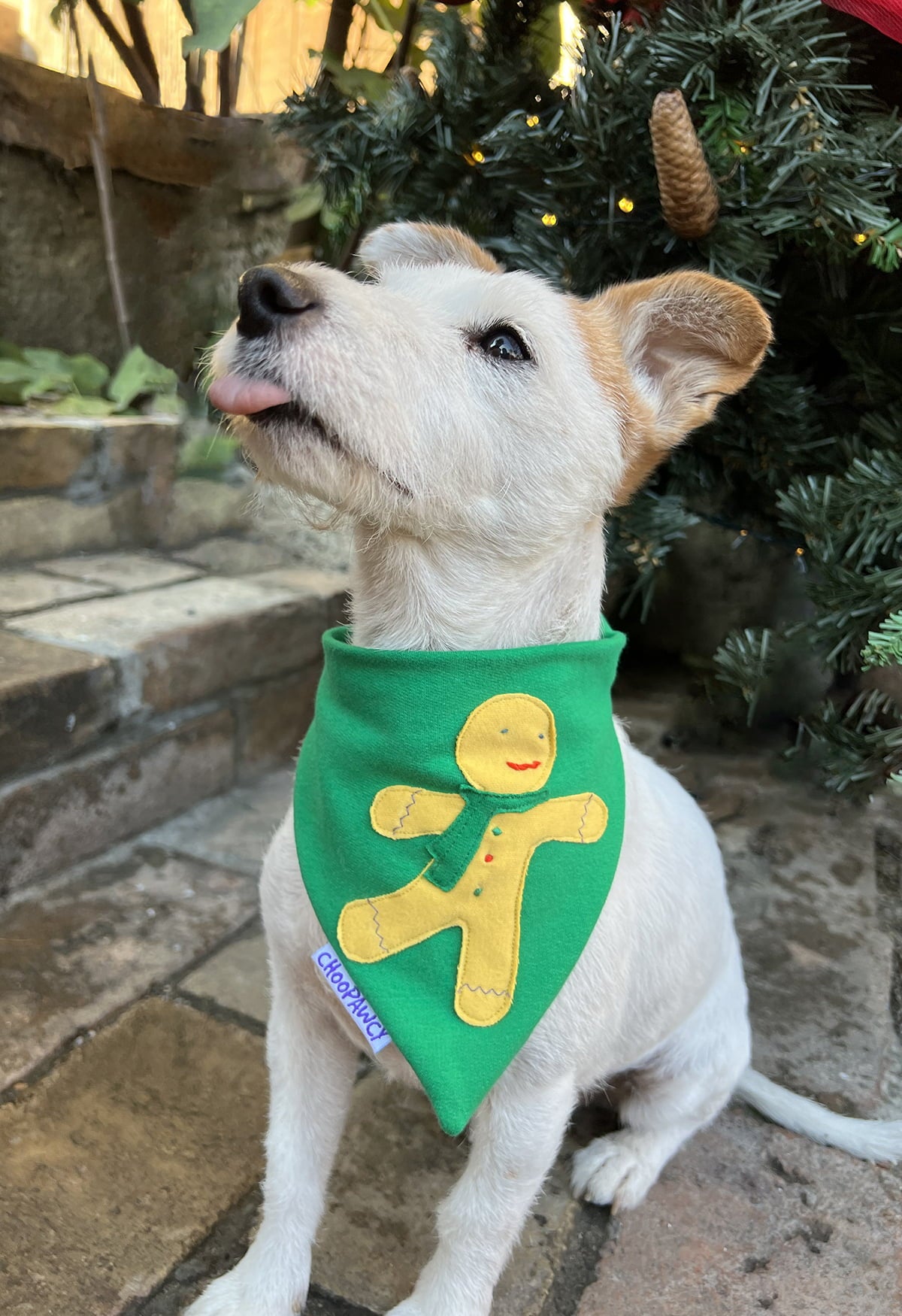 Gingerbread cookie bandana