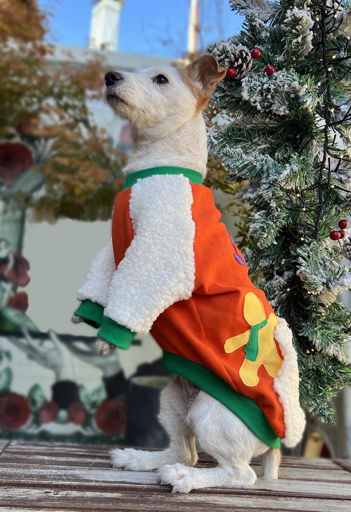 Holly jolly vibes doggo