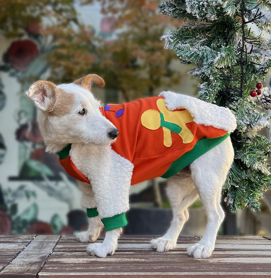 Holly jolly vibes doggo