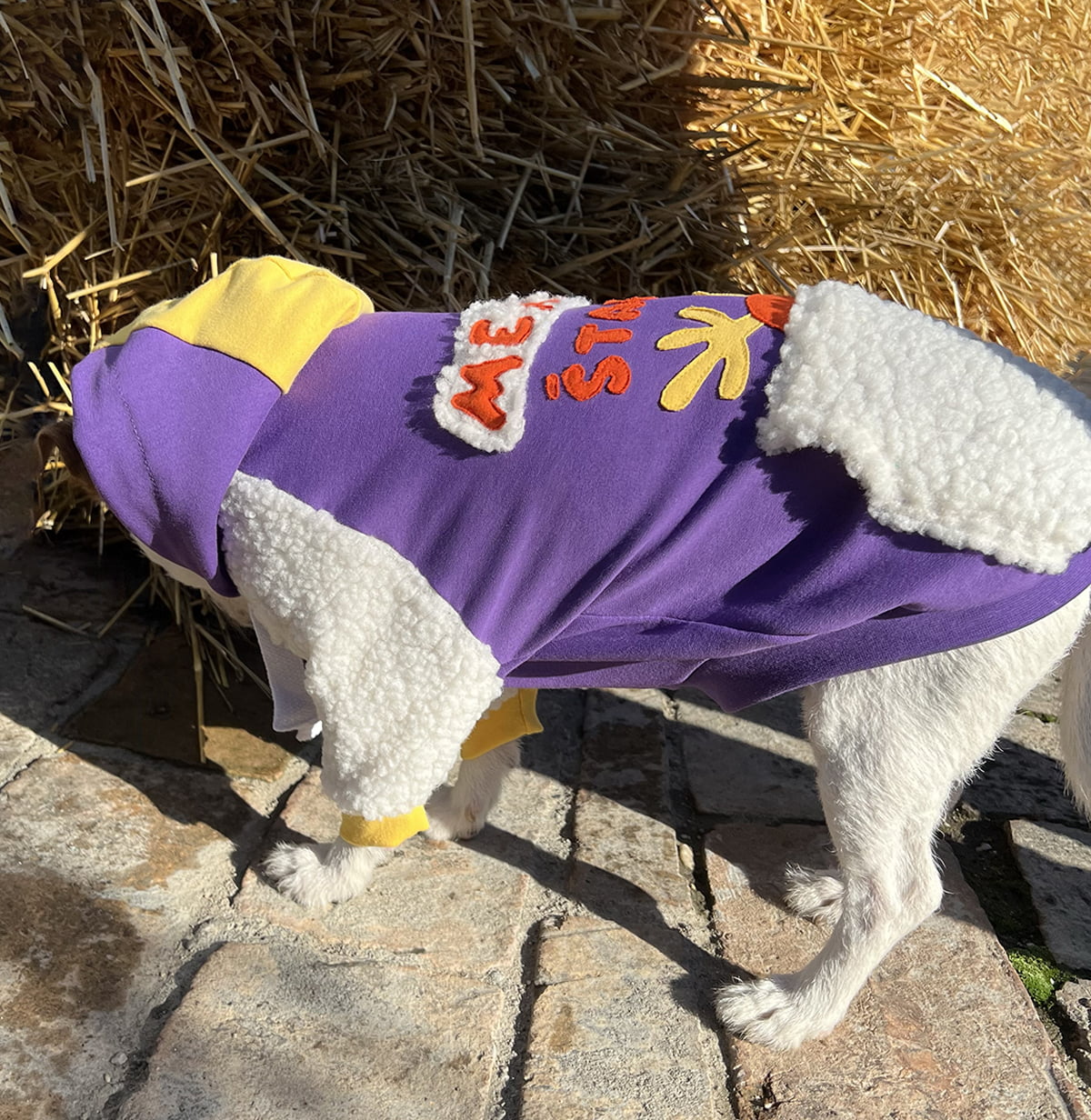 Oh, deer! hoodie doggo