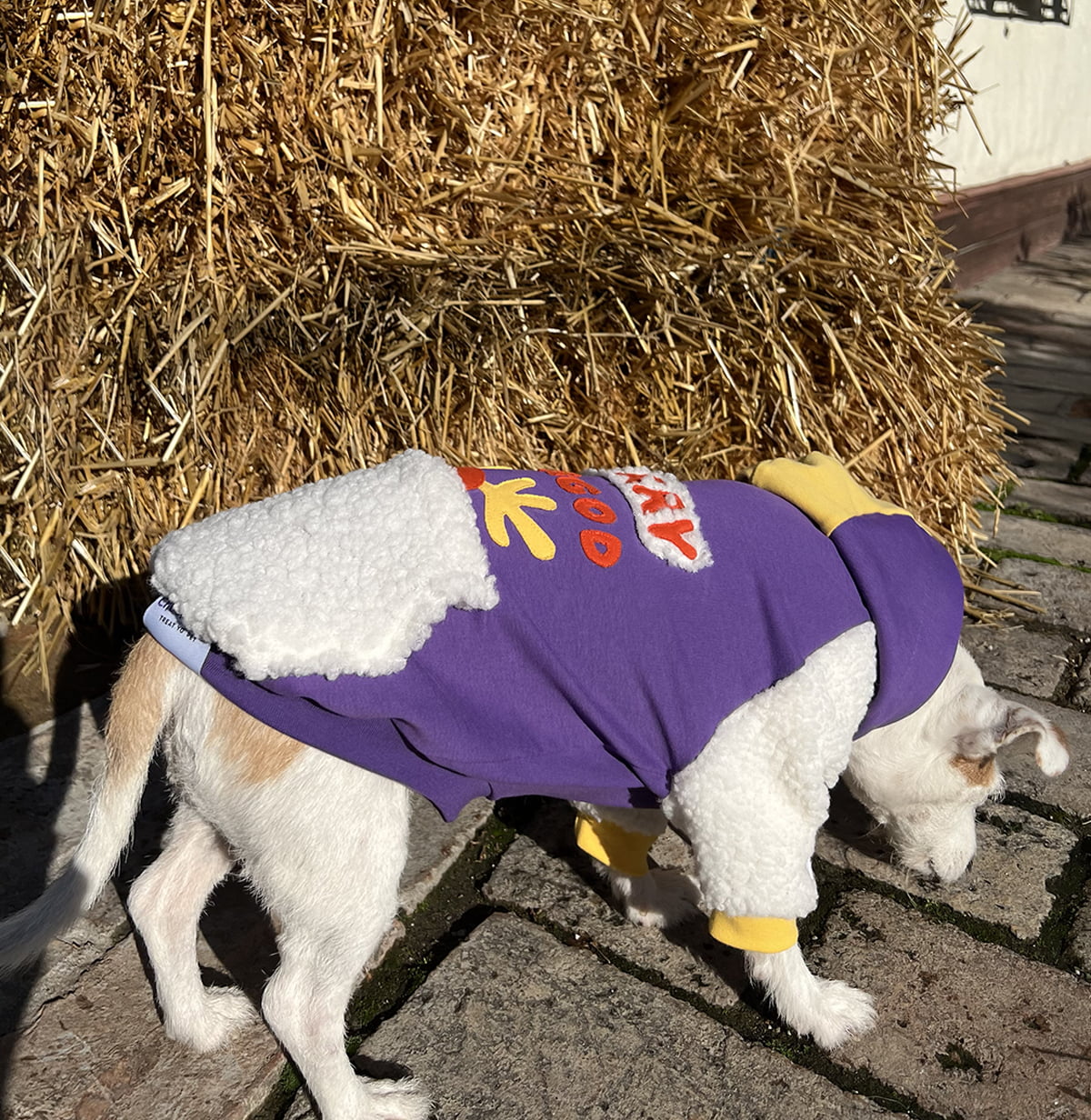 Oh, deer! hoodie doggo