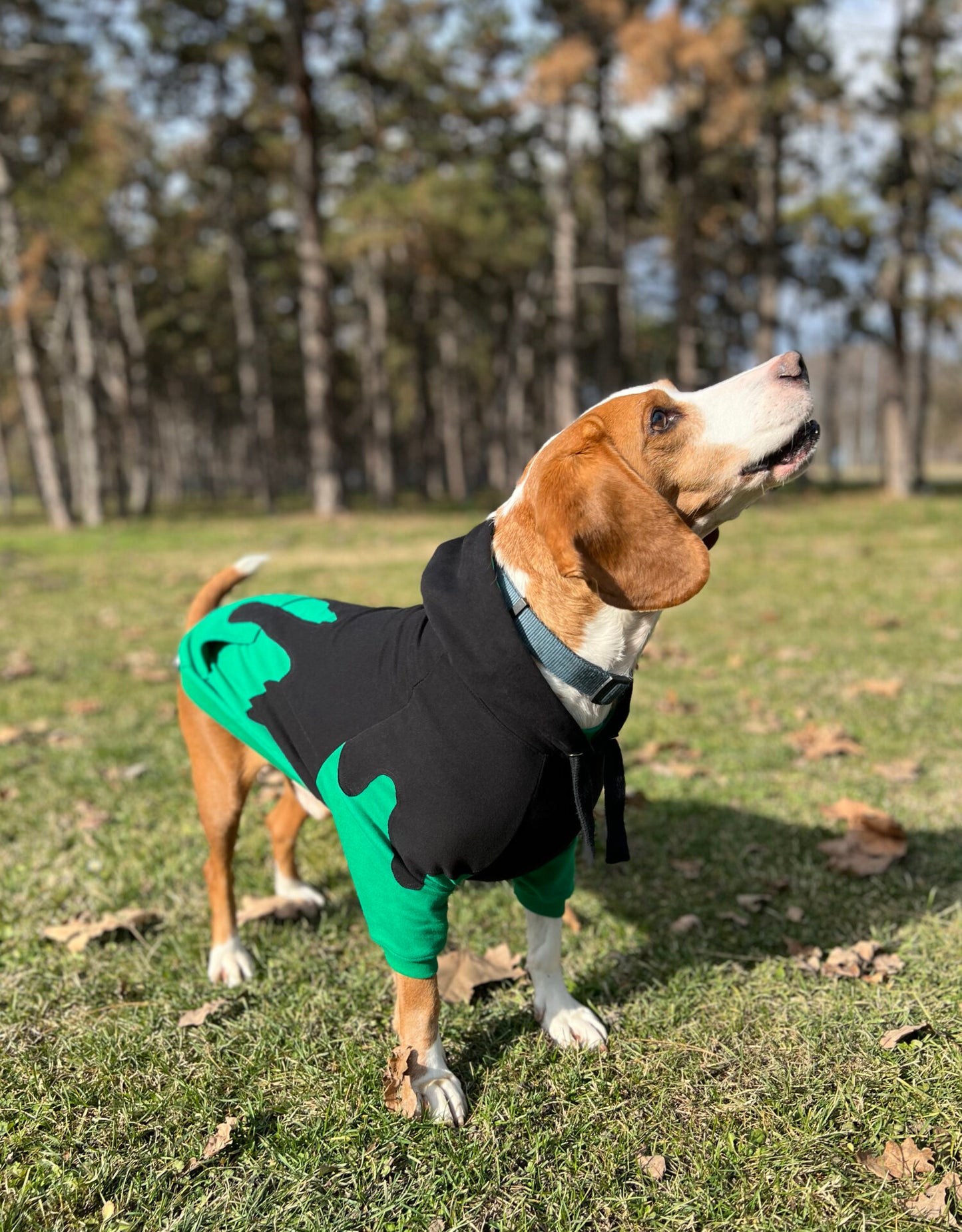 Let it drip doggo hoodie