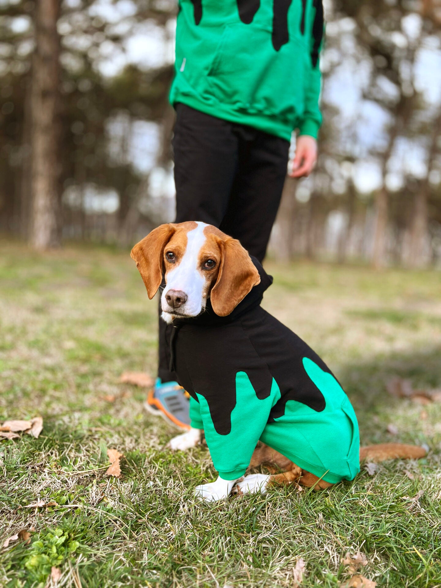 Let it drip doggo hoodie