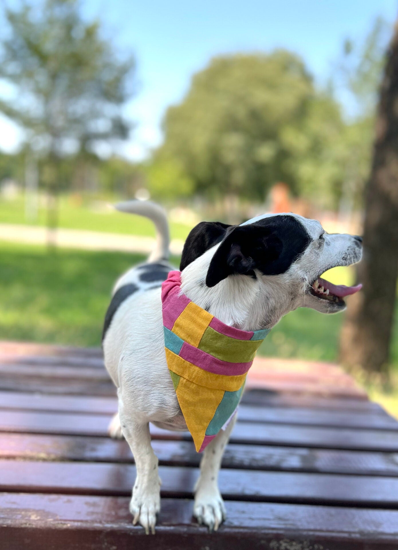 Summer bandana