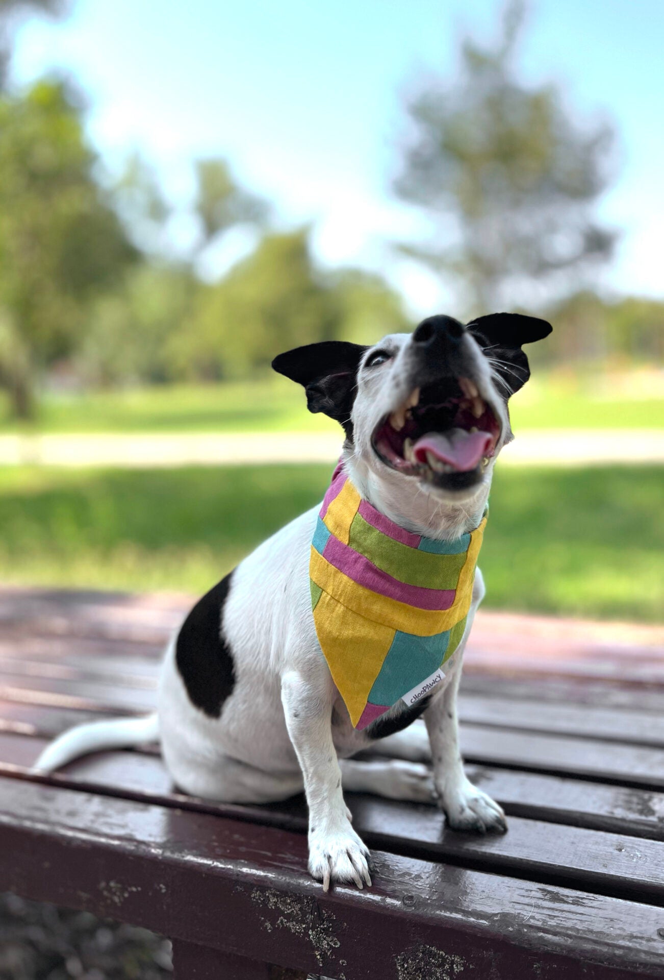 Summer bandana