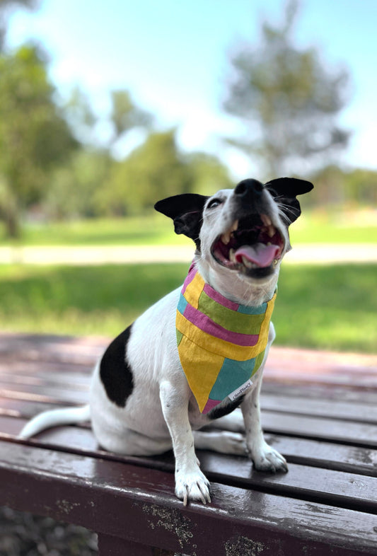 Summer bandana