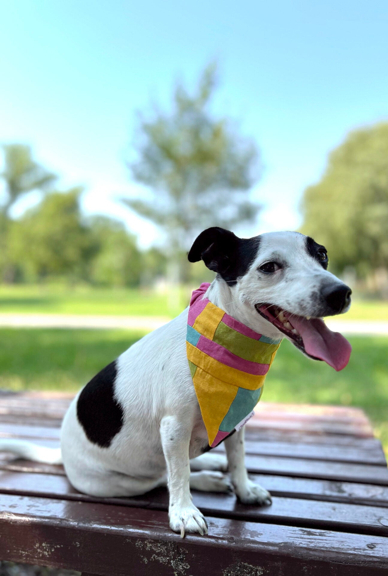 Summer bandana