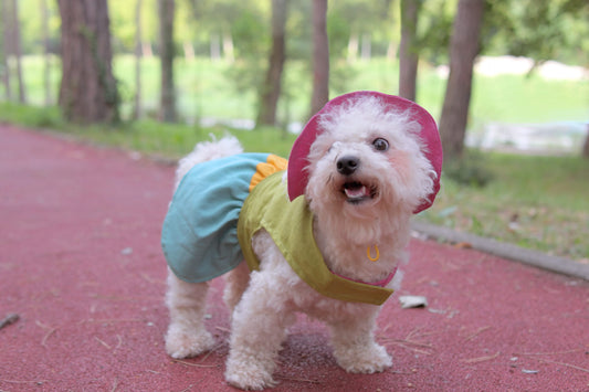 Tropical popsicle doggo dress