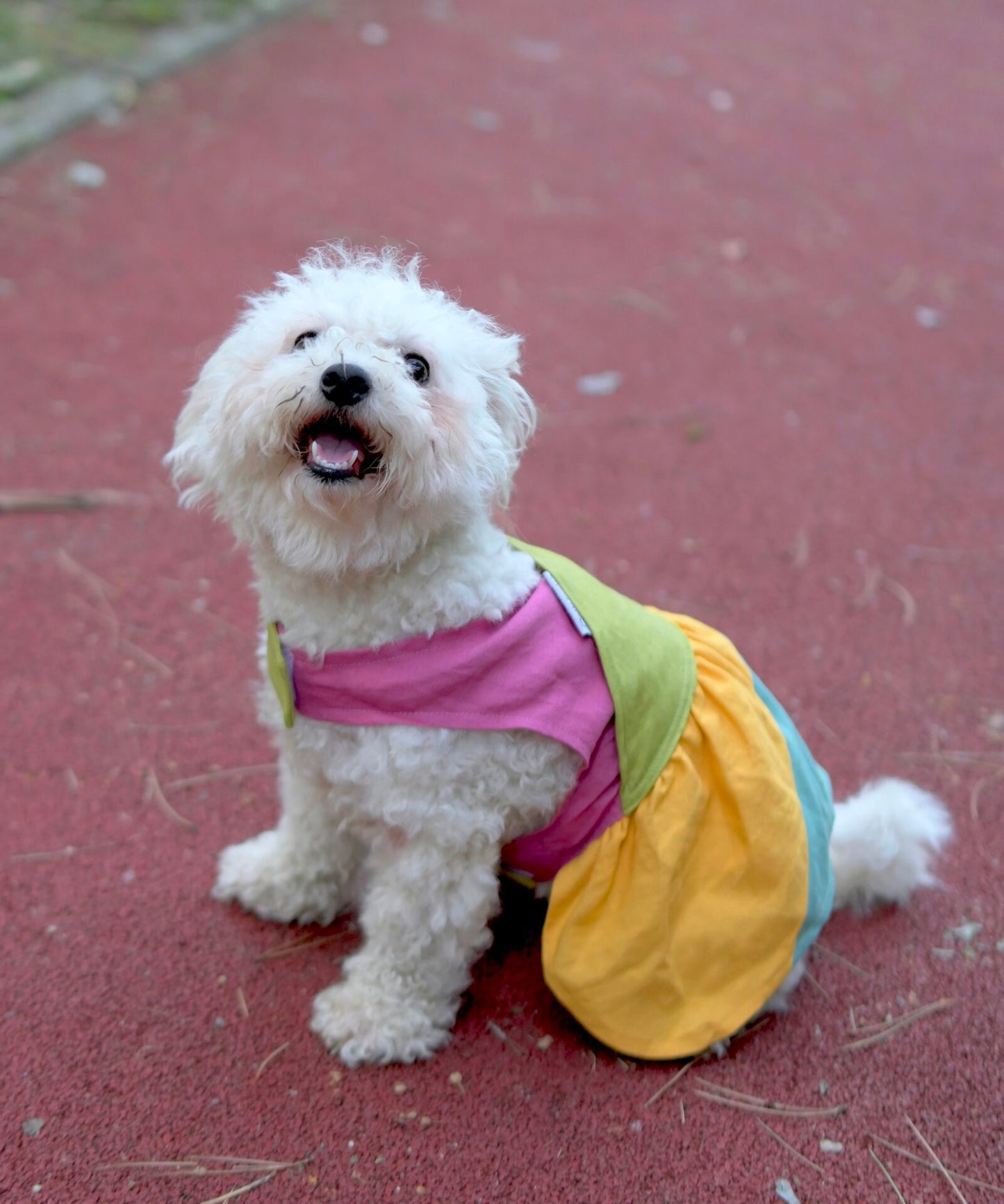 Tropical popsicle doggo dress