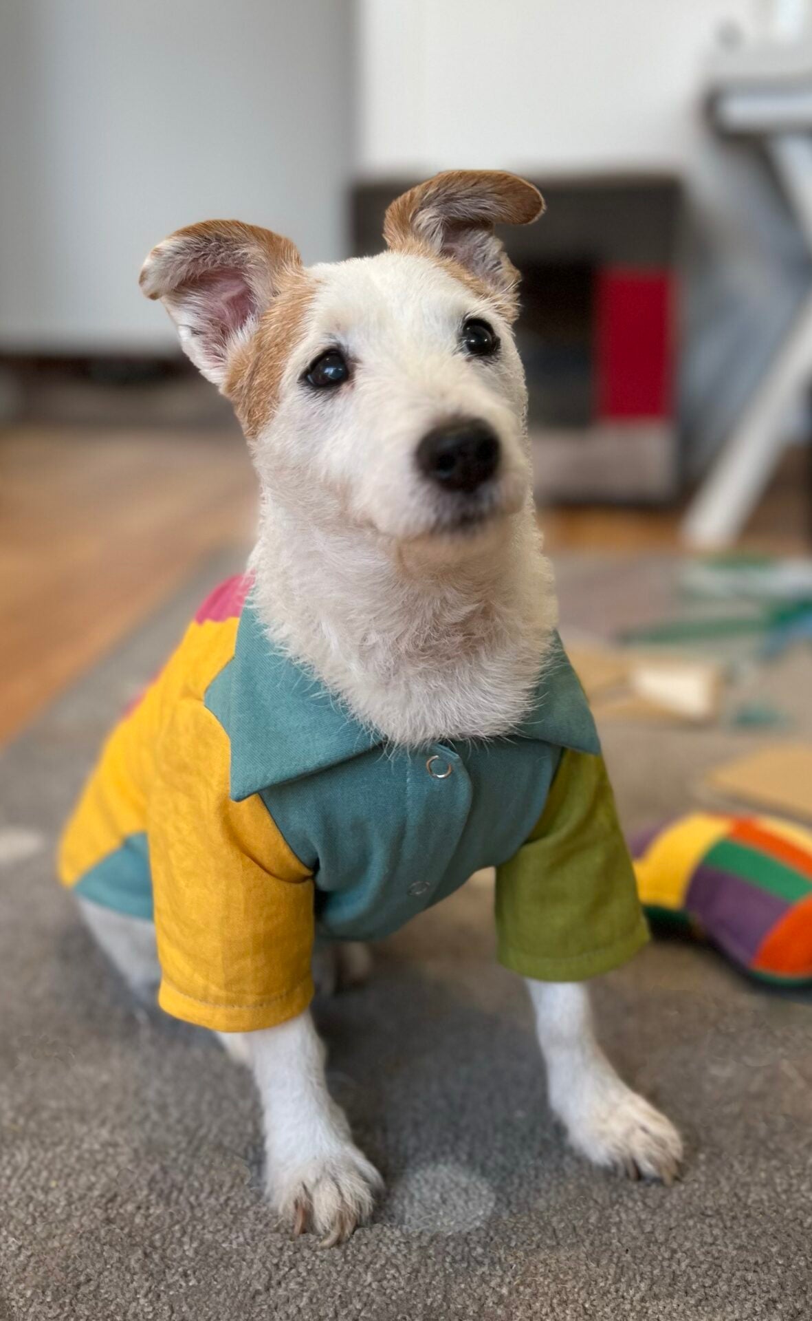 Color splash popsicle doggo shirt