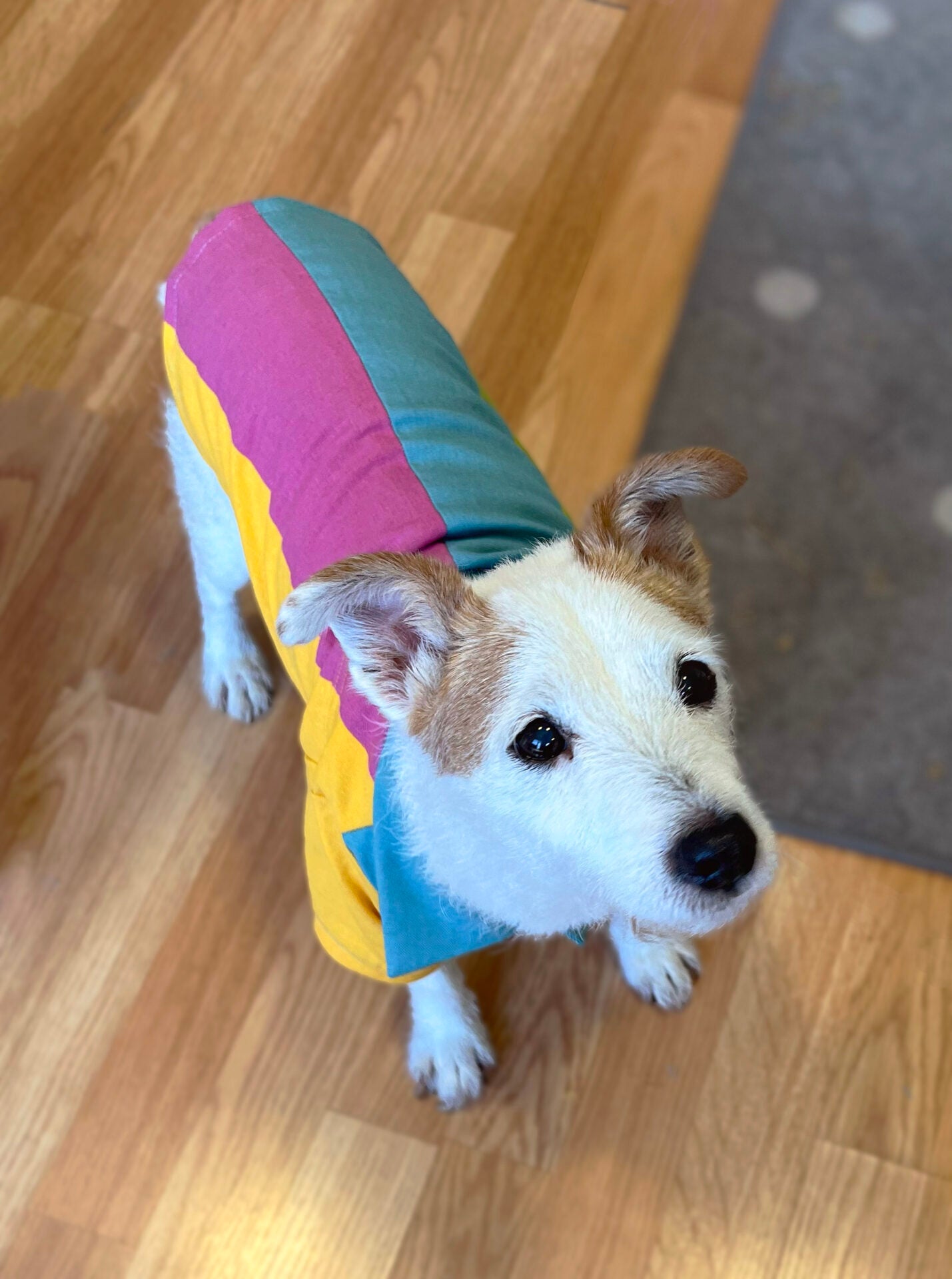 Color splash popsicle doggo shirt