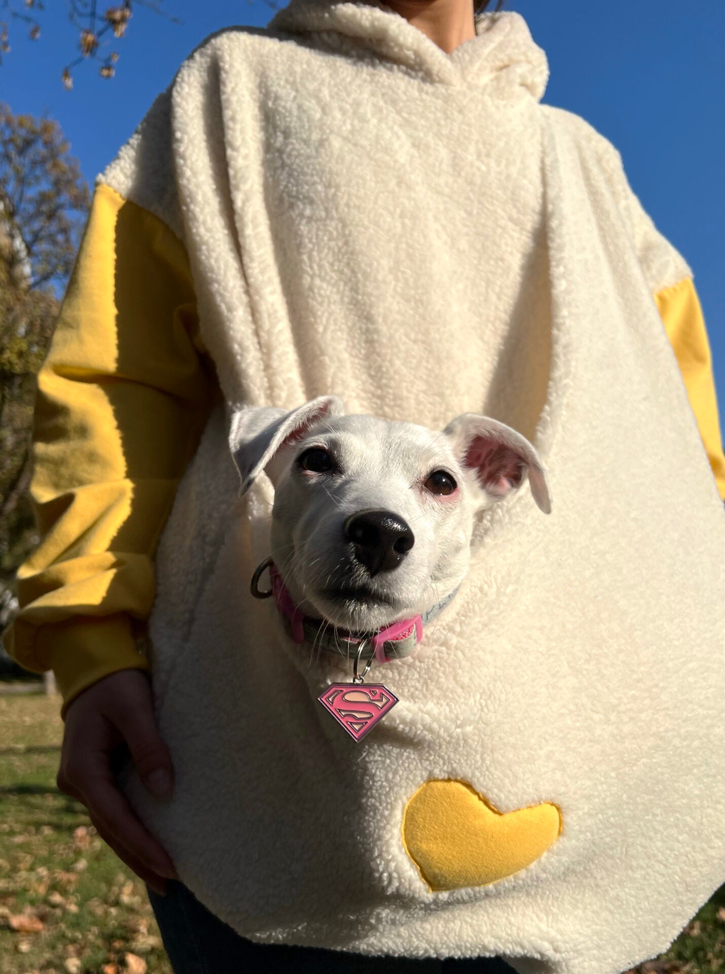 Kangaroo hoodie