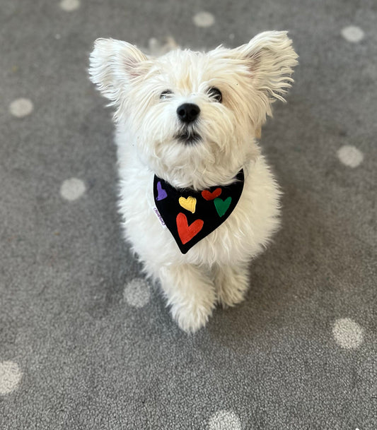 SILA bandana