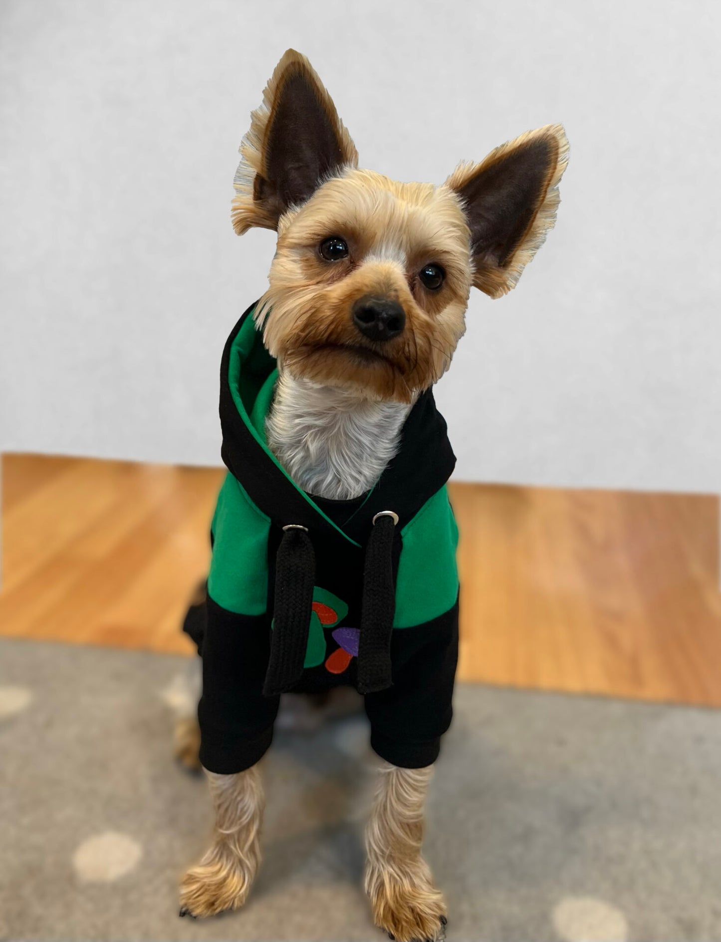 Mushroom bloom hoodie doggo