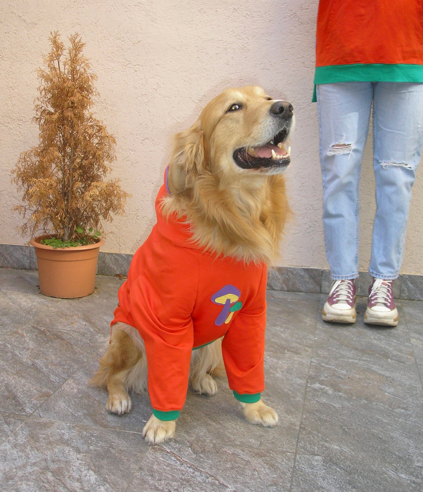 Grow and glow hoodie doggo