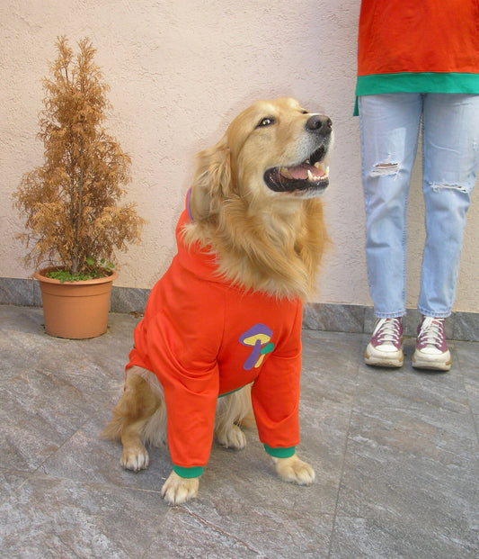 Grow and glow hoodie doggo