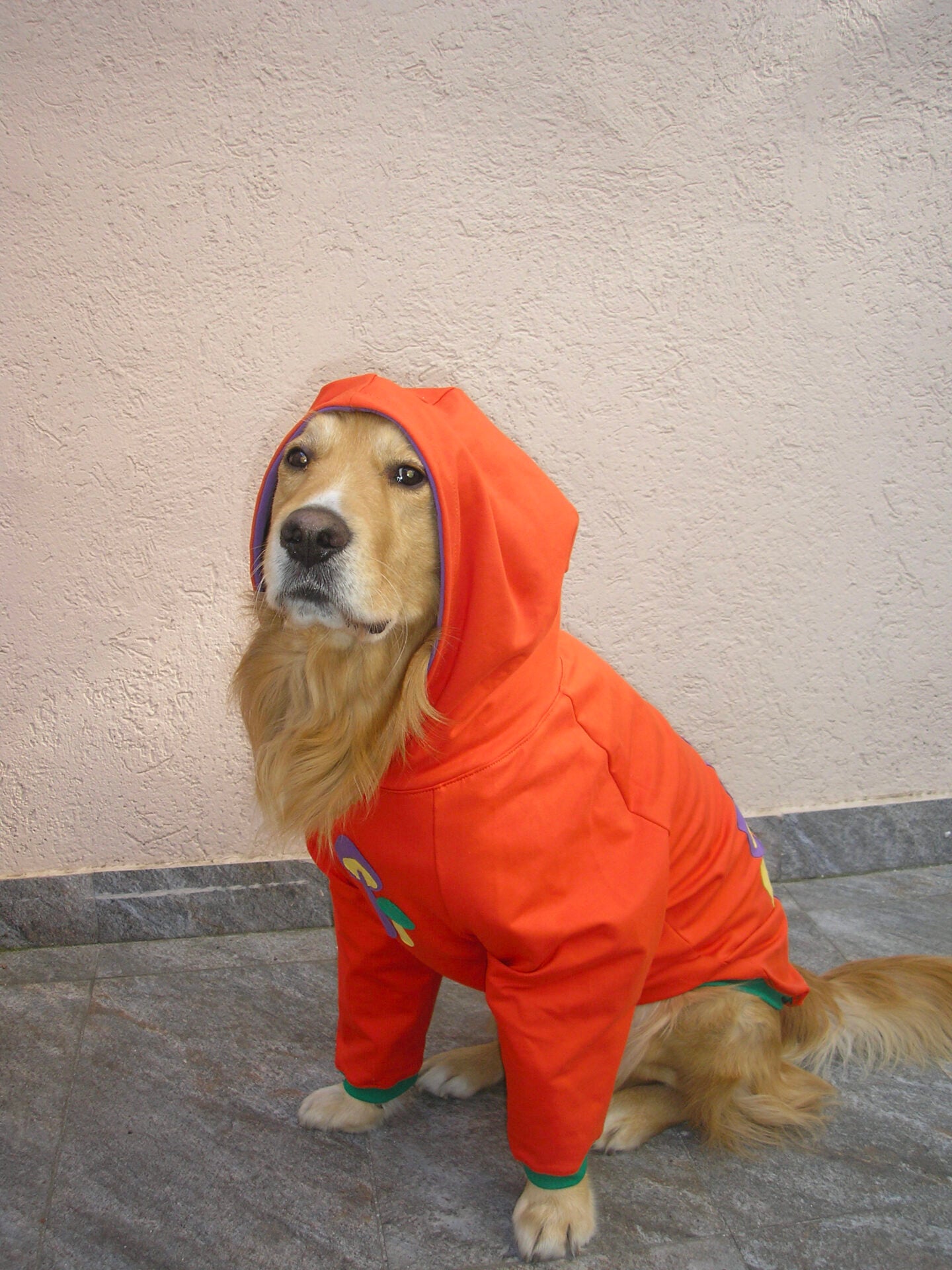 Grow and glow hoodie doggo