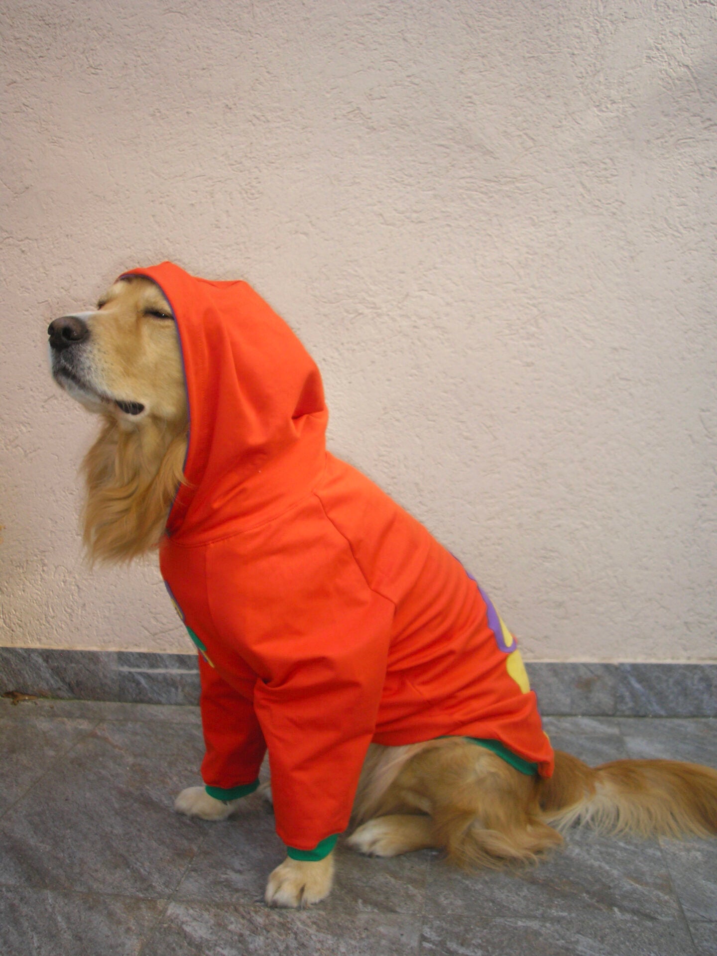 Grow and glow hoodie doggo