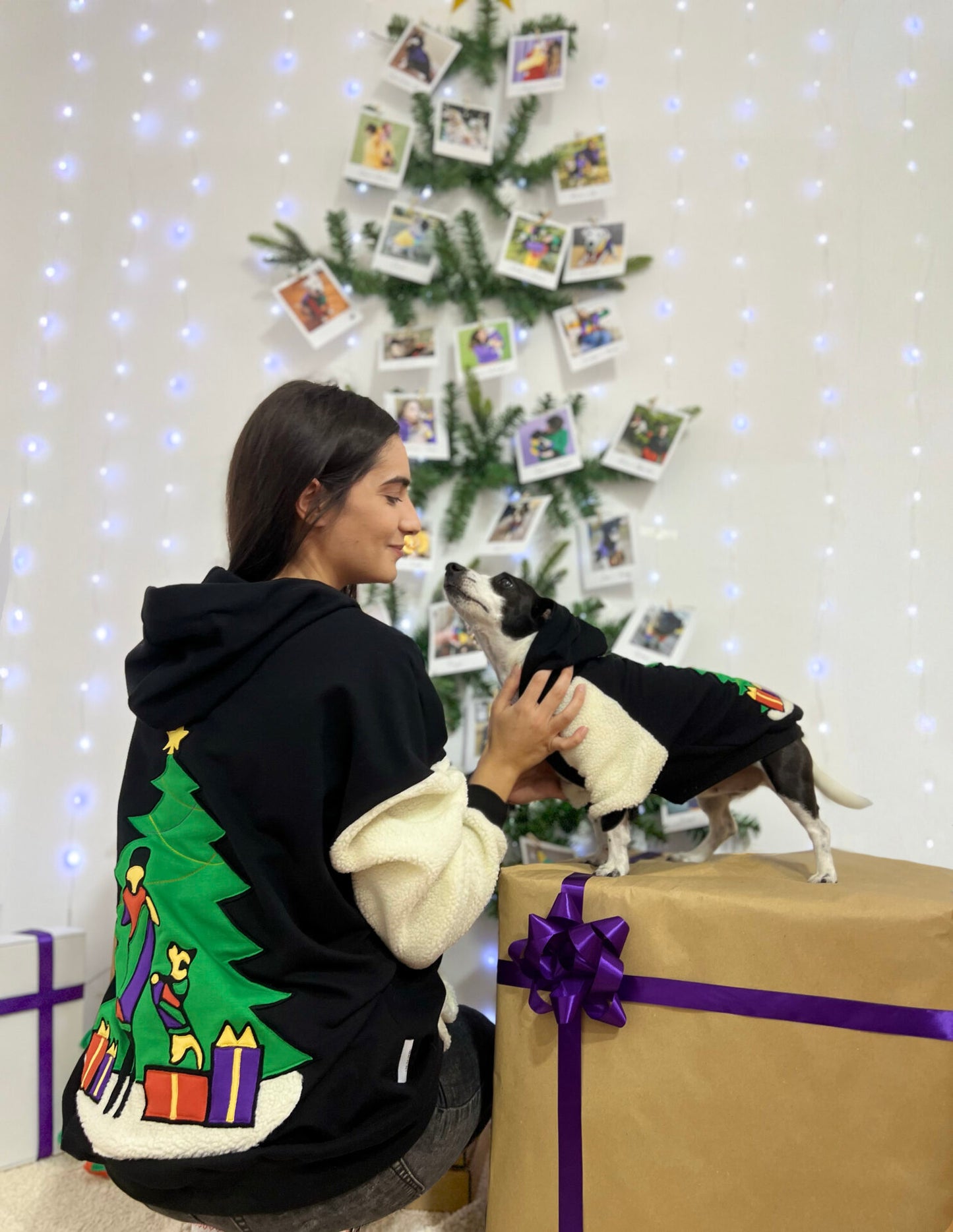 Jingle Tails doggo hoodie