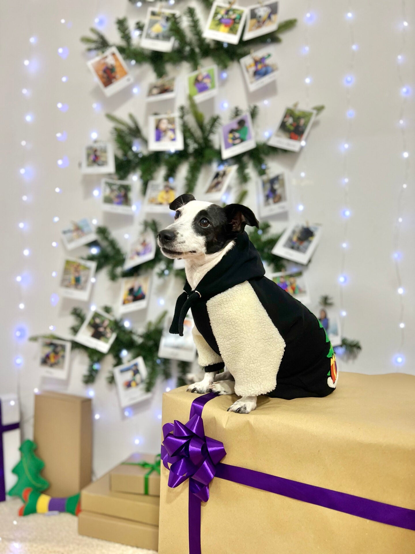 Jingle Tails doggo hoodie