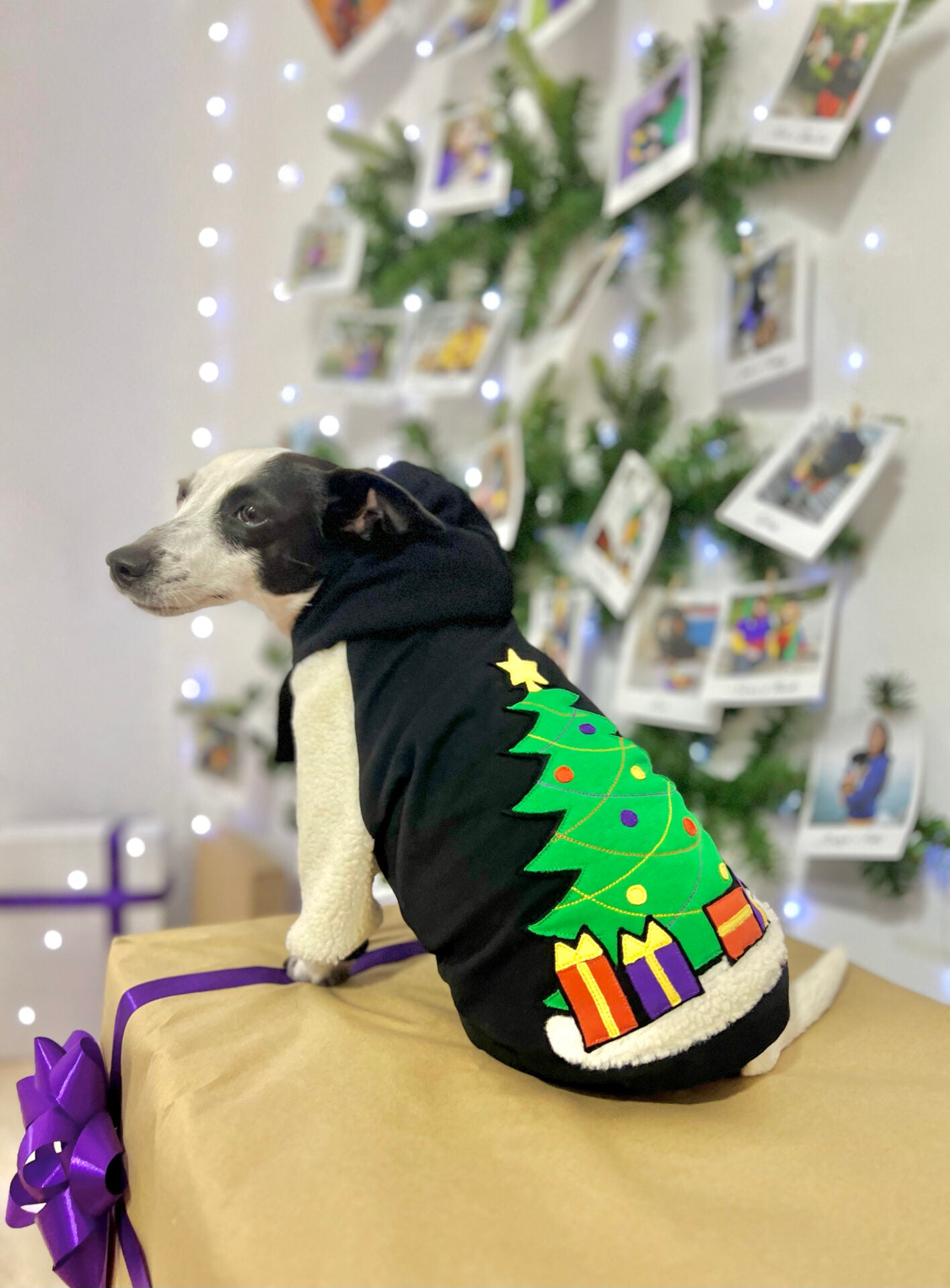 Jingle Tails doggo hoodie