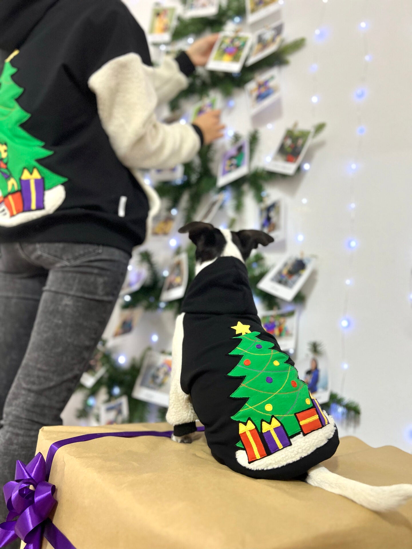 Jingle Tails doggo hoodie