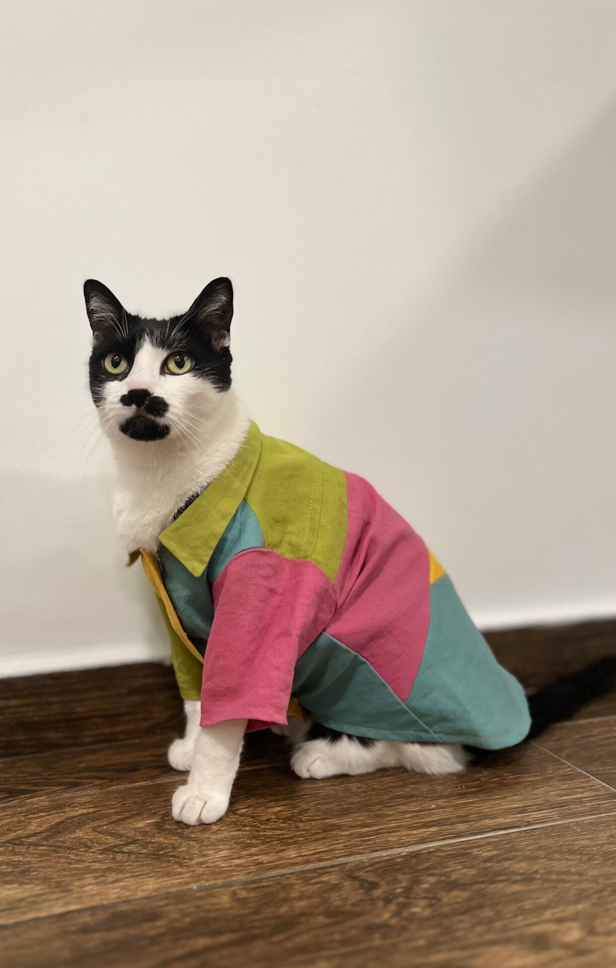 Tropical popsicle doggo shirt