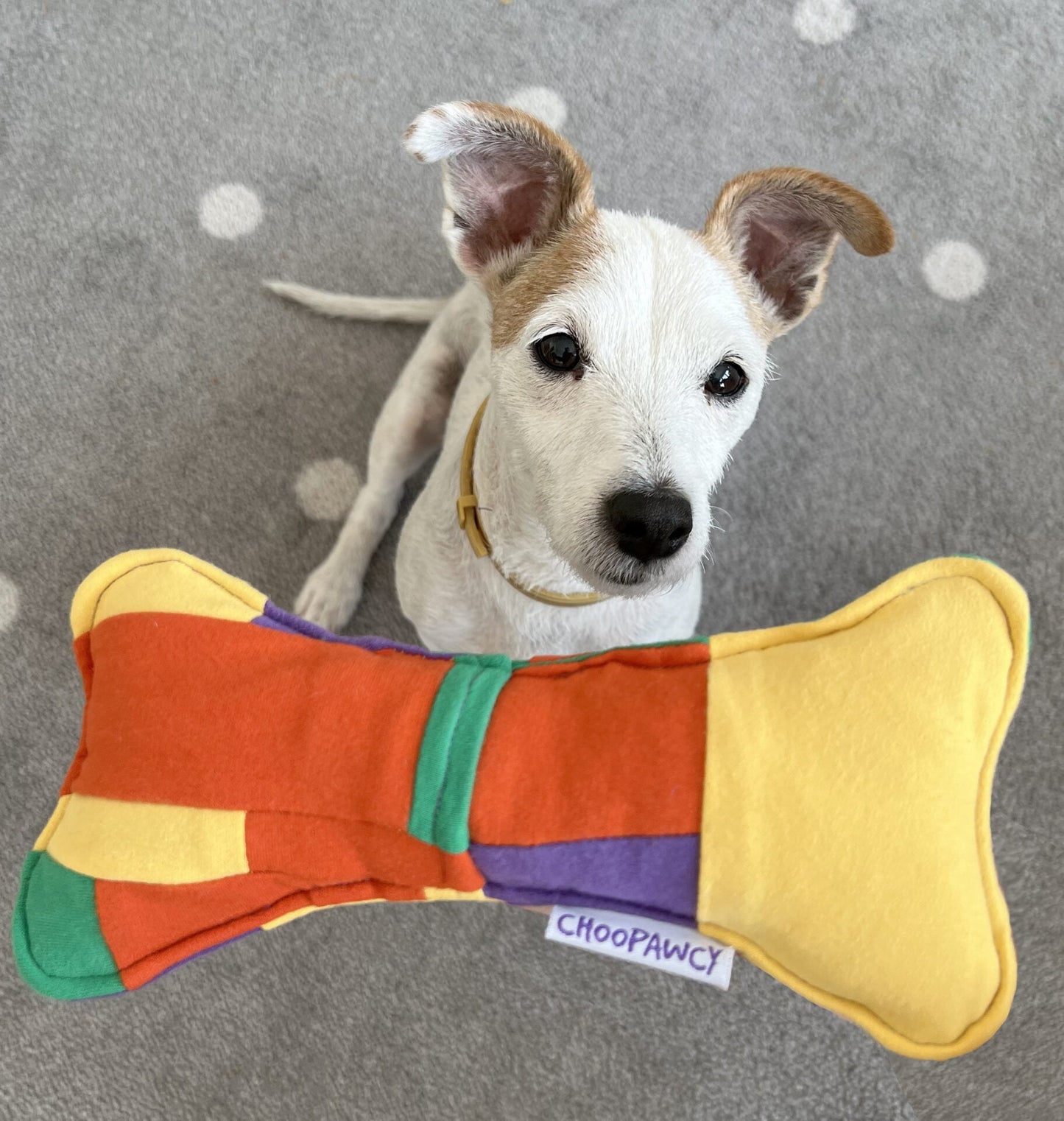 Emotional bone toy