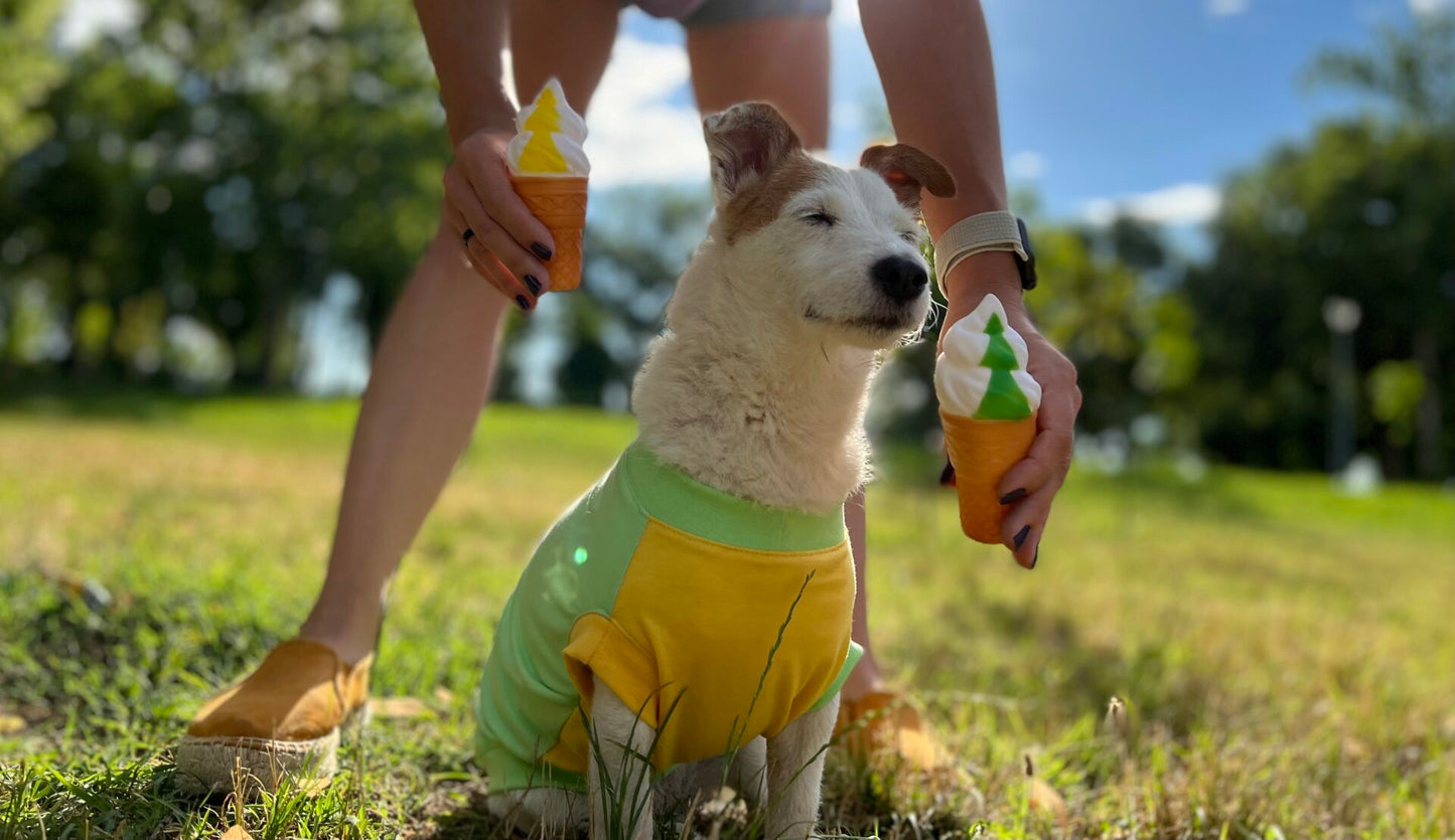 Fizzy pineapple ice cream - doggo