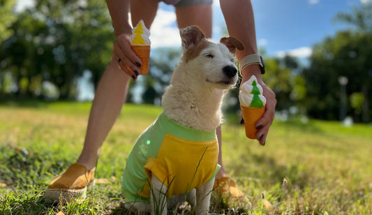 Fizzy pineapple ice cream - doggo