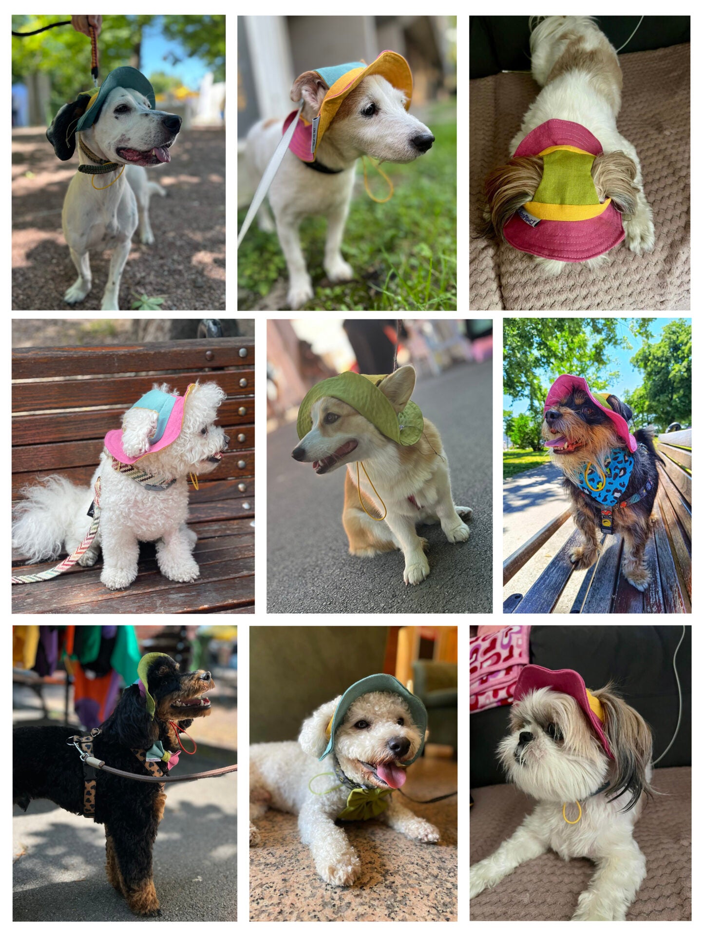 Doggo bucket hat