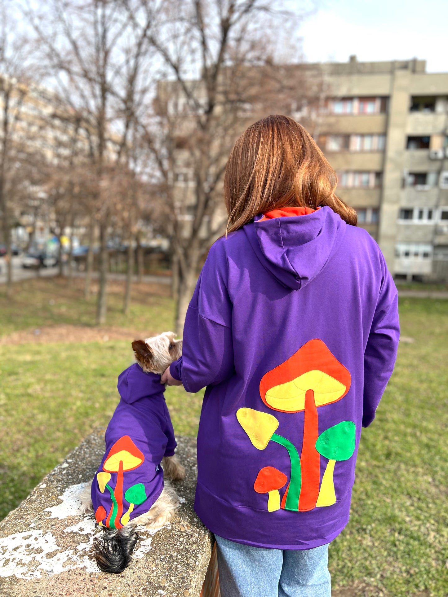 Mushroom Moonlight hoodie