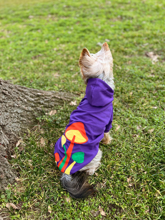 Mushroom moonlight doggo hoodie