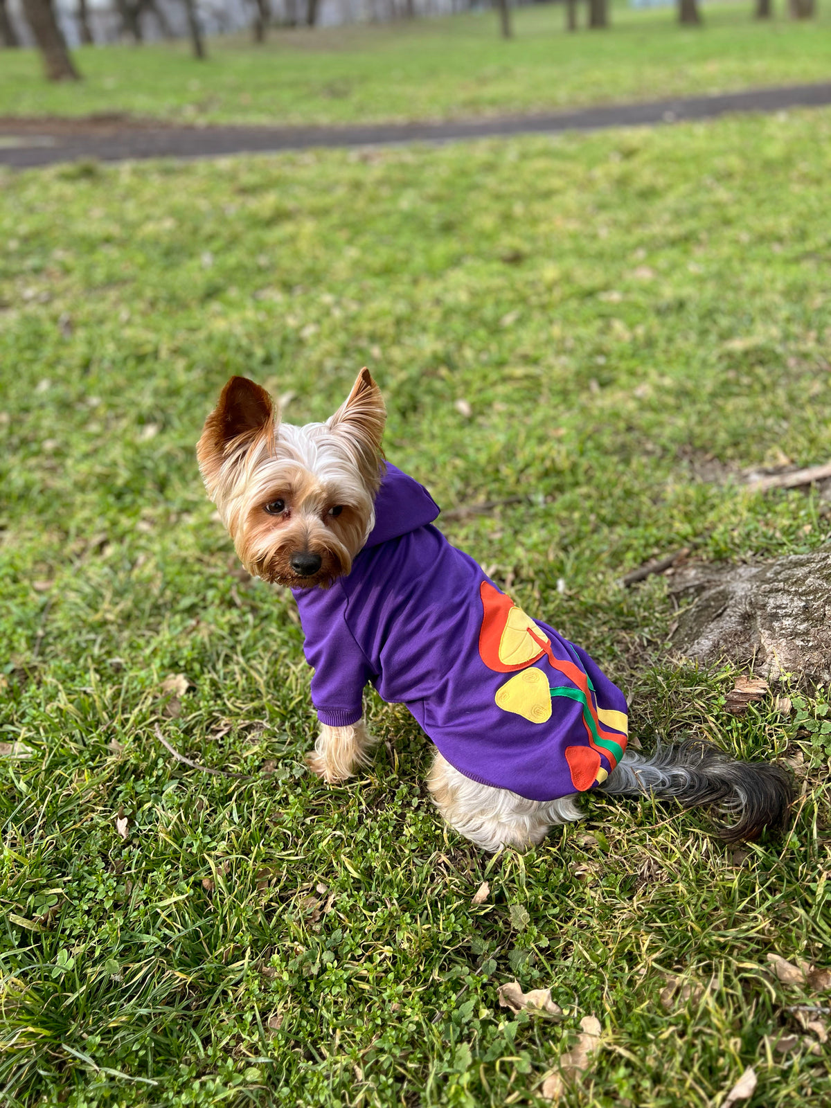 Mushroom moonlight doggo hoodie
