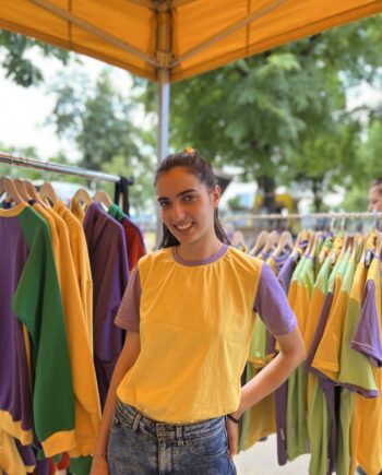 Mango berry sorbet - hooman